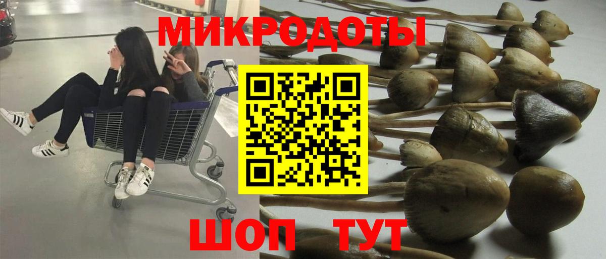 Кувандык  Псилоцибиновые грибы MAGIC MUSHROOMS  Вход с VPN 